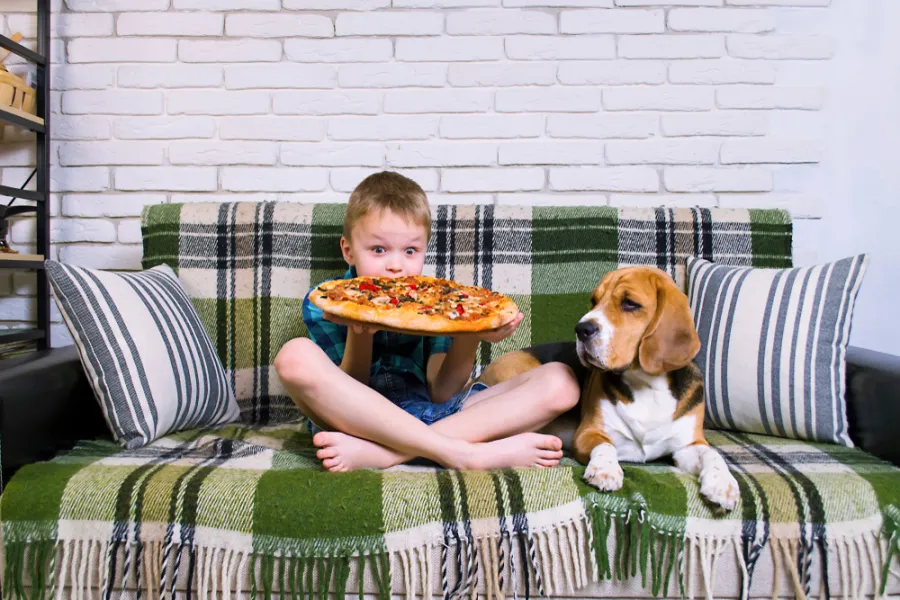A boy eating pizza pie form Hungru Howie's with his dog next to him on the couch